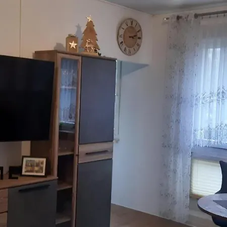 公寓 Ferienwohnung Brandy 德累斯顿